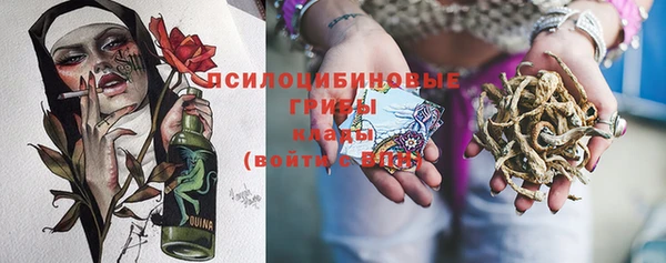 спиды Арсеньев